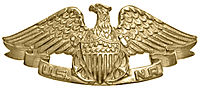 USNR Qualification Pin.jpg