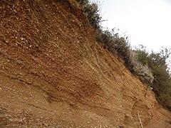 Red crag cliff at bawdsey cliff suffolk 30-10-2013.jpg