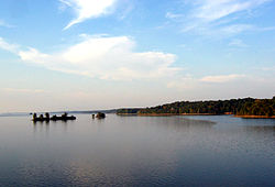 Kentucky Lake (Land Between the Lakes National Recreation Area).jpg