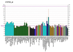 PBB GE SOX2 213722 at fs.png