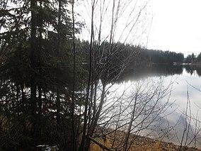 A Calm Rainy Morning in Late Autumn at Browne Lake Provincial Park.JPG