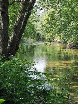 Bronx River from Shoelace Park.jpg