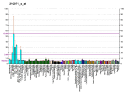 PBB GE ARNTL 210971 s at fs.png
