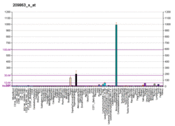 PBB GE TP73L 209863 s at fs.png