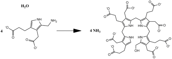 Overall reaction of PB deaminase