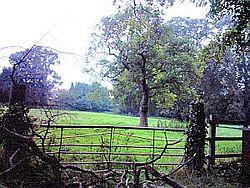 Rowton Moor.jpg