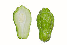 Chayote cross section BNC.jpg