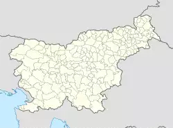 Slovenske Konjice is located in Slovenia