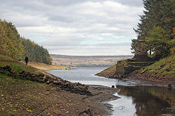 An image of a lake with a very low water level