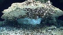 Gas hydrate under carbonate rock.jpg