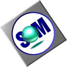 IBM SOM Logo