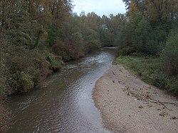 Coquitlam River - panoramio - SpiderRider3.jpg