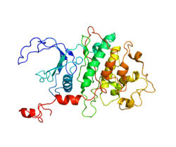 Protein CDK9 PDB 1PF6.png