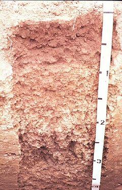 Miami soil profile.jpg