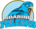 Logo of Adamson Soaring Falcons