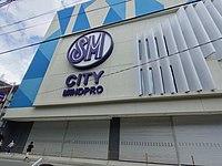 SM City Mindpro Signage.jpg