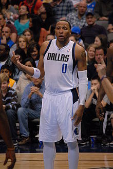 Shawn Marion Mavericks 2013.jpg