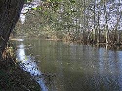 Alter Rhin, bei Friesack an der B5, 31.10.2005.JPG