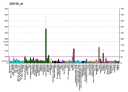 PBB GE NR1D2 209750 at fs.png