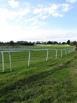 Plumpton Racecourse - geograph.org.uk - 1546423.jpg