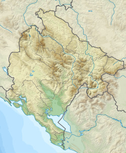 Lake Plav is located in Montenegro