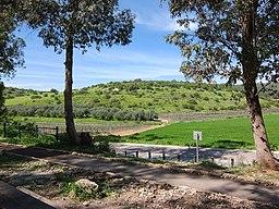 Giv'at Seled, near Tzafririm.jpg