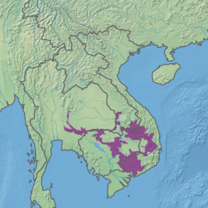 Ecoregion IM0210.png