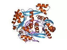 PDB 2p0j EBI.jpg