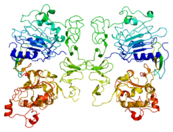 Protein TGFA PDB 1mox.png