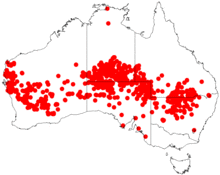Acacia murrayanaDistMap618.png
