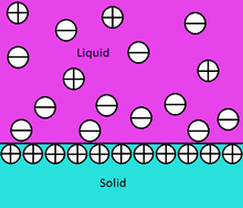 A diagram of a solid containing a line of positive charge bordering a liquid containing both negative and positive charges