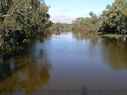 Bogan River-Nyngan.JPG