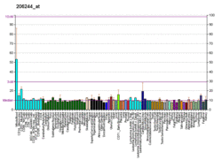 PBB GE CR1 206244 at fs.png