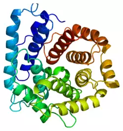 Protein C3 PDB 1c3d.png