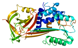 Protein SERPINB2 PDB 1by7.png