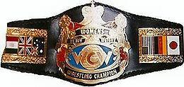 WCWWomensBelt.jpg