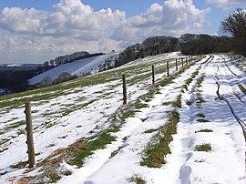 Downland, East Woodhay - geograph.org.uk - 762435.jpg