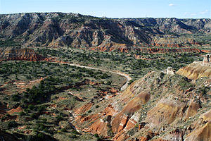 Palo Duro 2002.jpg