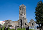 Roscrea Friary SW 2010 09 03.jpg