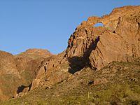 Organ pipe cactus arches.jpg