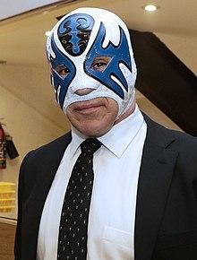MX TV PLACA PATRIMONIO LUCHA LIBRE (45220918455).jpg