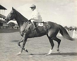 Lough Neagh 1935 Tatts Tramway Handicap Jockey Fred Shean Trainer Tim Brosnan.jpg