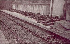 Balvano train disaster (1944).jpg