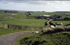 Sleightholme Moor Road - geograph.org.uk - 282947.jpg