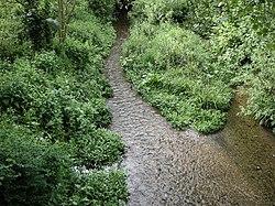 Berkhamsted-River Bulbourne - geograph.org.uk - 1310920.jpg