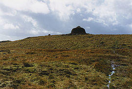 Drygarn Fawr.jpg