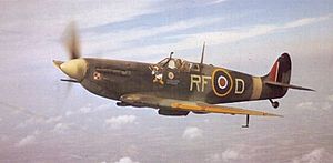 Spitfire V 316.jpg