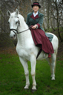 Monika van Paemel 675.jpg