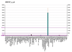 PBB GE KRT17 205157 s at fs.png