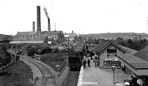 Heathfield station, South Devon, 1906.jpg